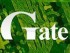 Gate-IP Video