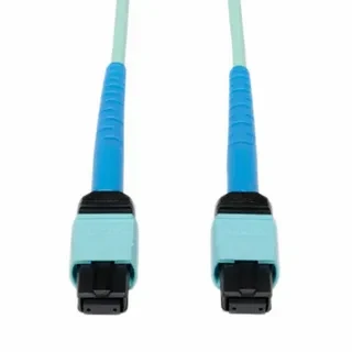 Устройство Tripp Lite N546-10M