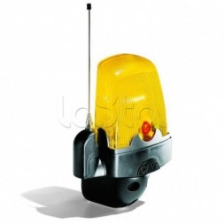 Came 001KIARO24IN