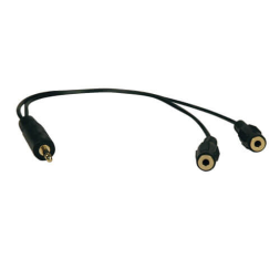 Устройство Tripp Lite P313-001