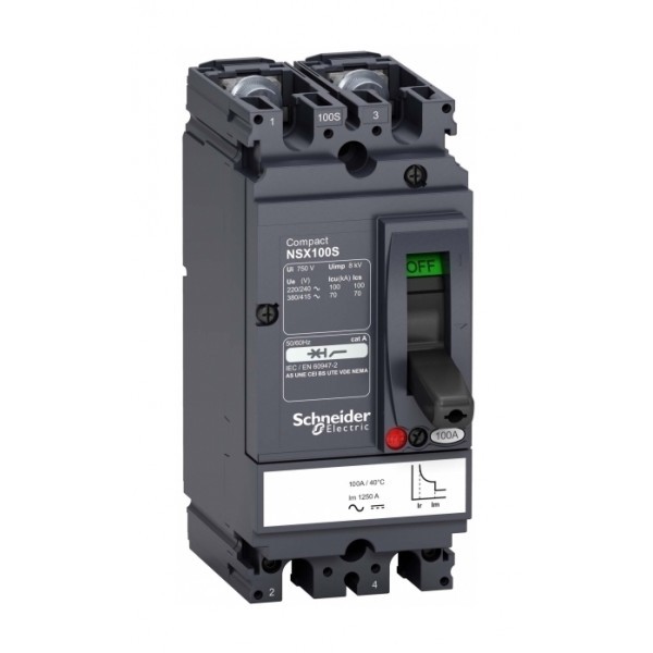 Силовой автомат Schneider Electric Compact NSX, 100кА, 2P, 100А