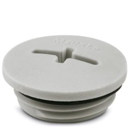 Резьбовой колпачок A-INSP-M20-68N-P-LG