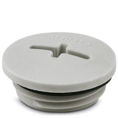 Резьбовой колпачок A-INSP-M20-68N-P-LG