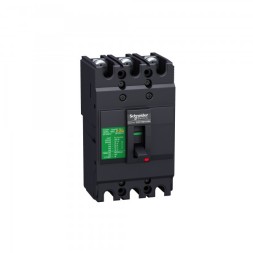 EZC100F3032 SE Easypact EZCАВТ. ВЫКЛ. EZC100 10 KA/400 В 3П/3T 32 A