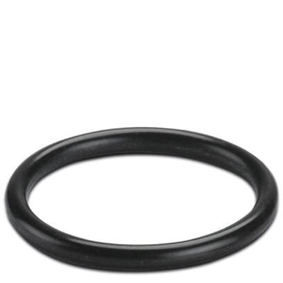 Уплотн. кольцо WP-OR PG16