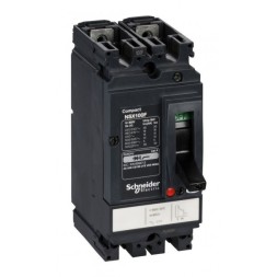 Силовой автомат Schneider Electric Compact NSX, 18кА, 2P, 100А