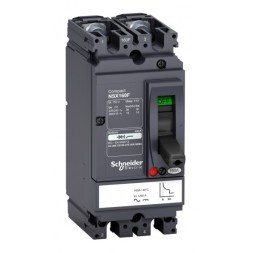 Силовой автомат Schneider Electric Compact NSX, 18кА, 2P, 125А