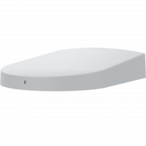 TP3101 PENDANT WALL MOUNT