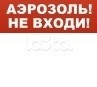 Арсенал Безопасности Молния-12 &quot;Аэрозоль! Не входи&quot;