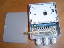 ЮМИРС Мурена